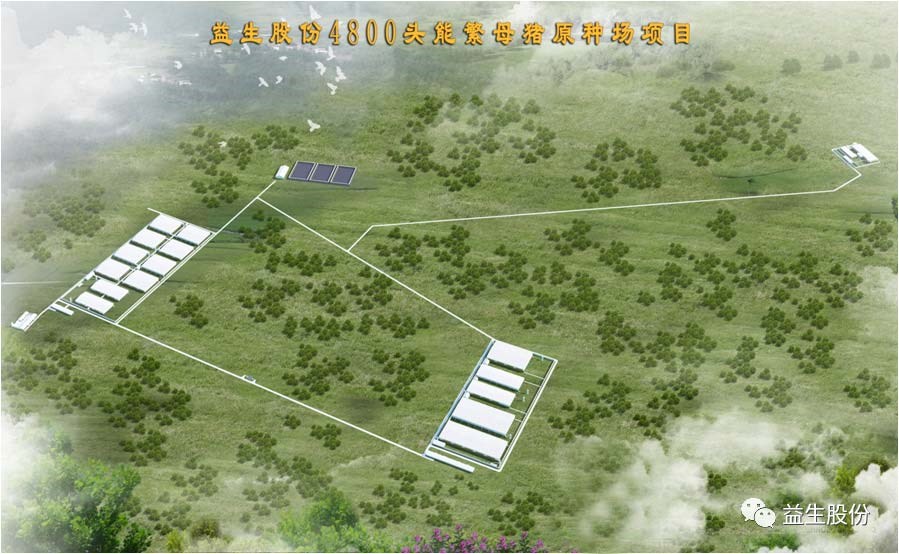 【喜讯】黑龙江qy千亿种猪繁育有限公司原种猪场建设项目开工