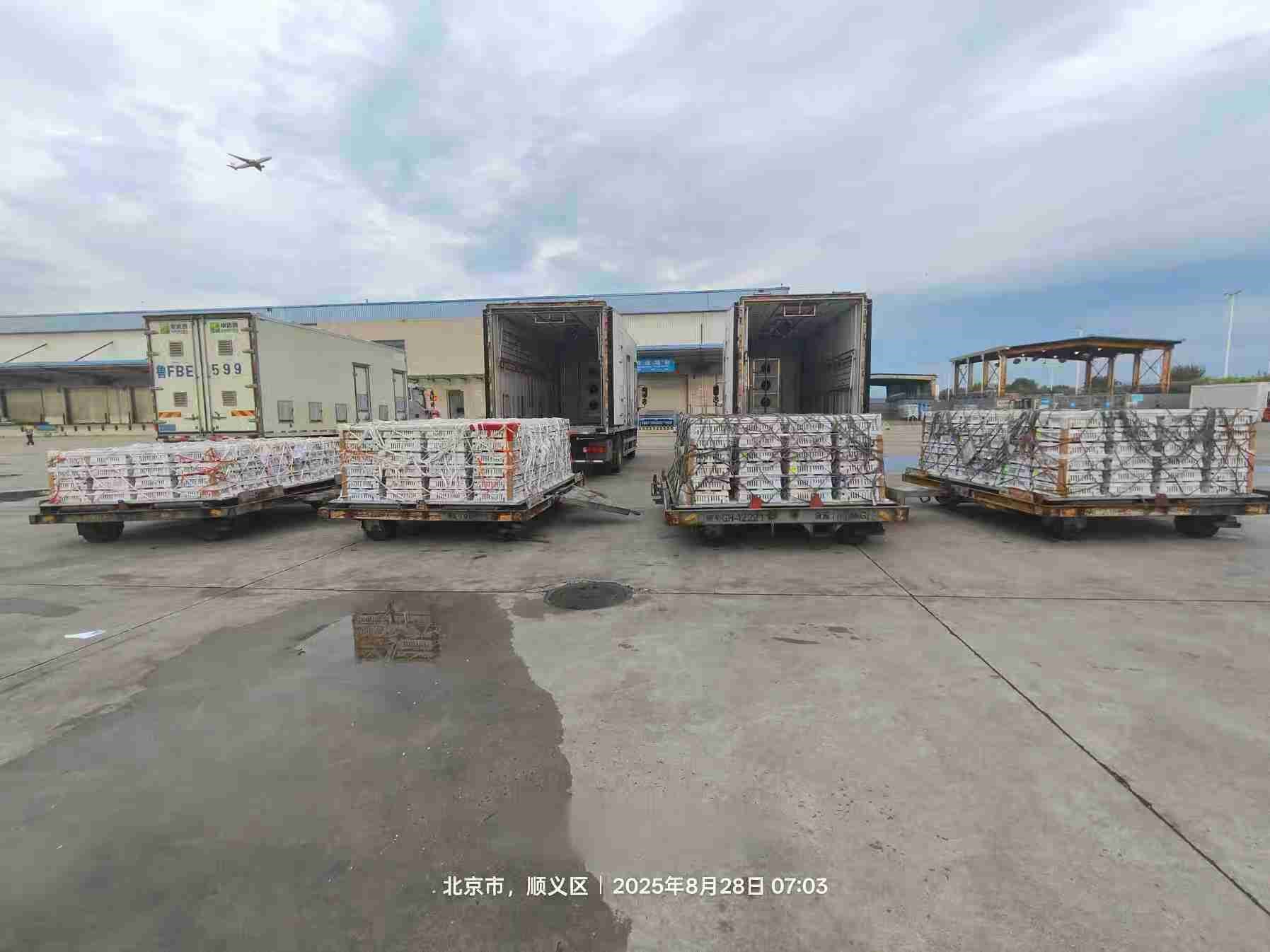 【引种】qy千亿股份年度引种突破16万套，市占率59%稳居行业龙头