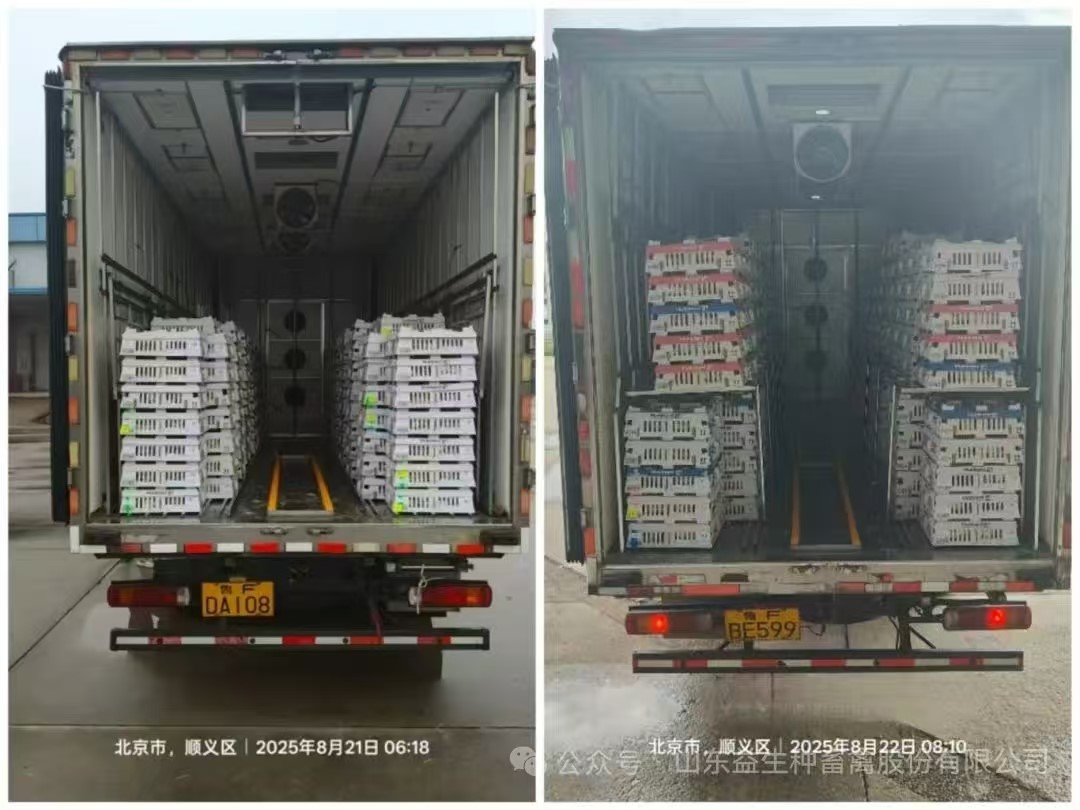微信图片_20250823142340.jpg 微信图片_20250823142340.jpg