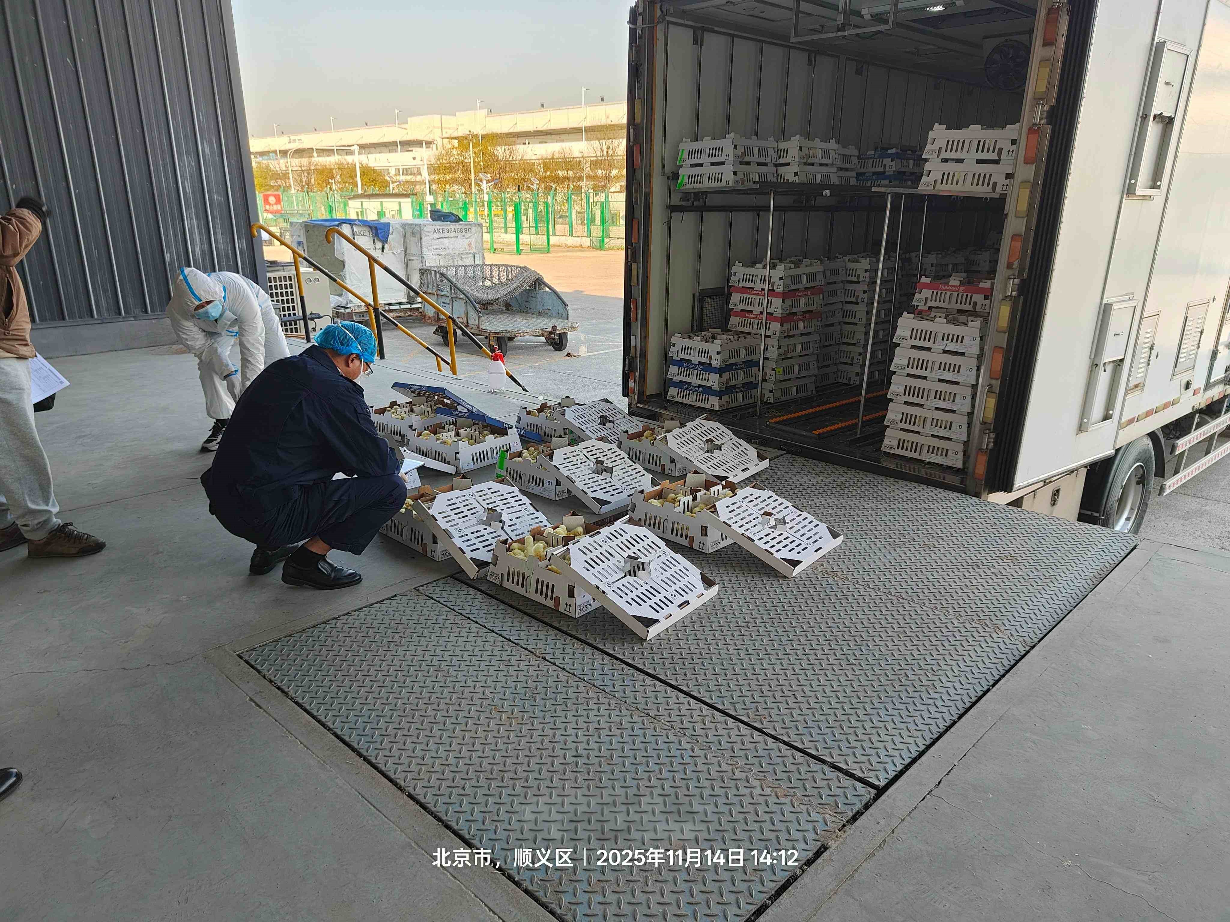 【喜讯】qy千亿股份再引种1.6万套祖代肉种鸡，引种总量突破23.6万套