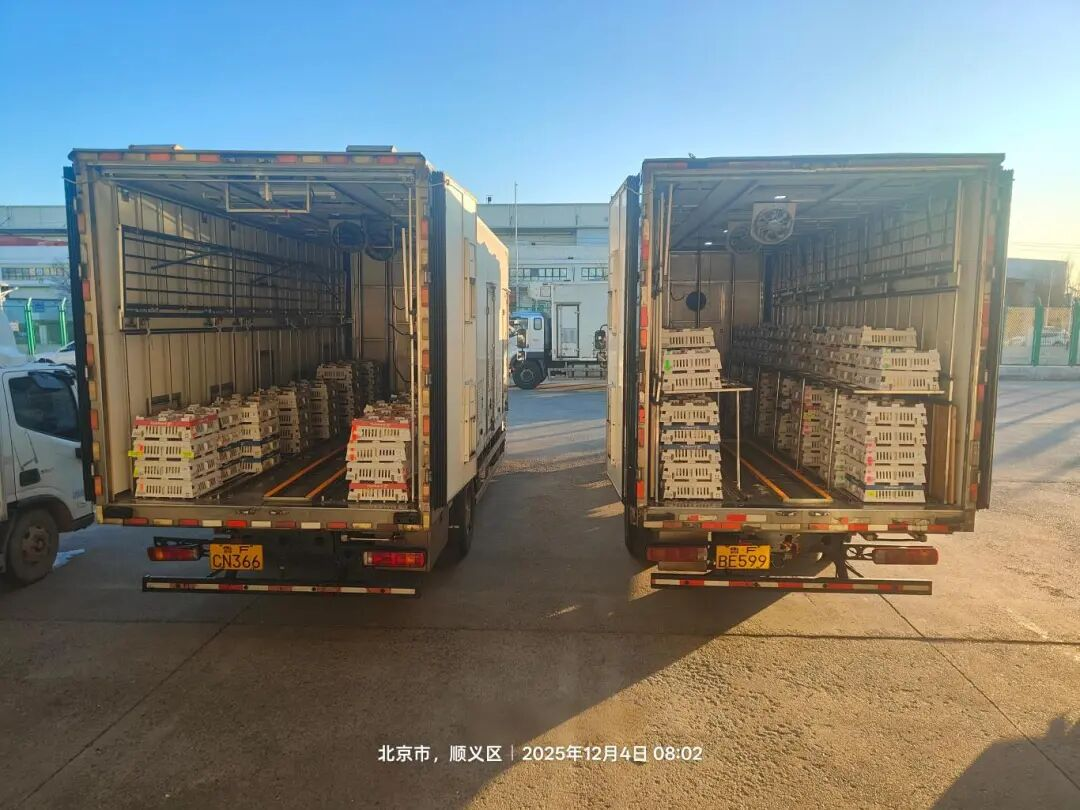 [引种】qy千亿股份再度引进法国种源，龙头职位坚韧保险产业不变