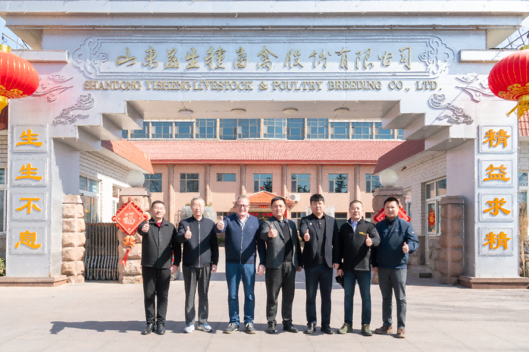 【会议】中德养猪技术专项座谈会圆满闭幕 共探qy千亿新丹系种猪养殖高质量发展新蹊径