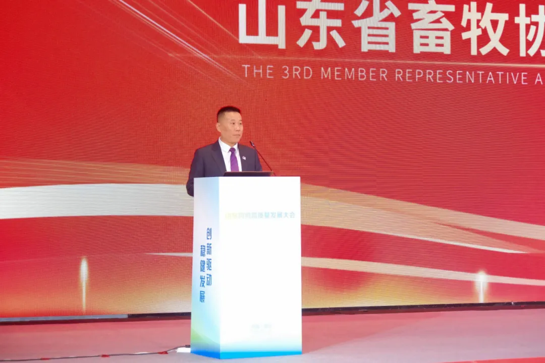 图片14.png